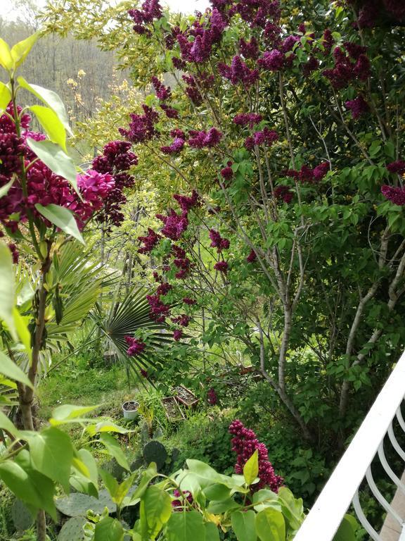 Guest House Fanny Sinemoretz Exterior photo